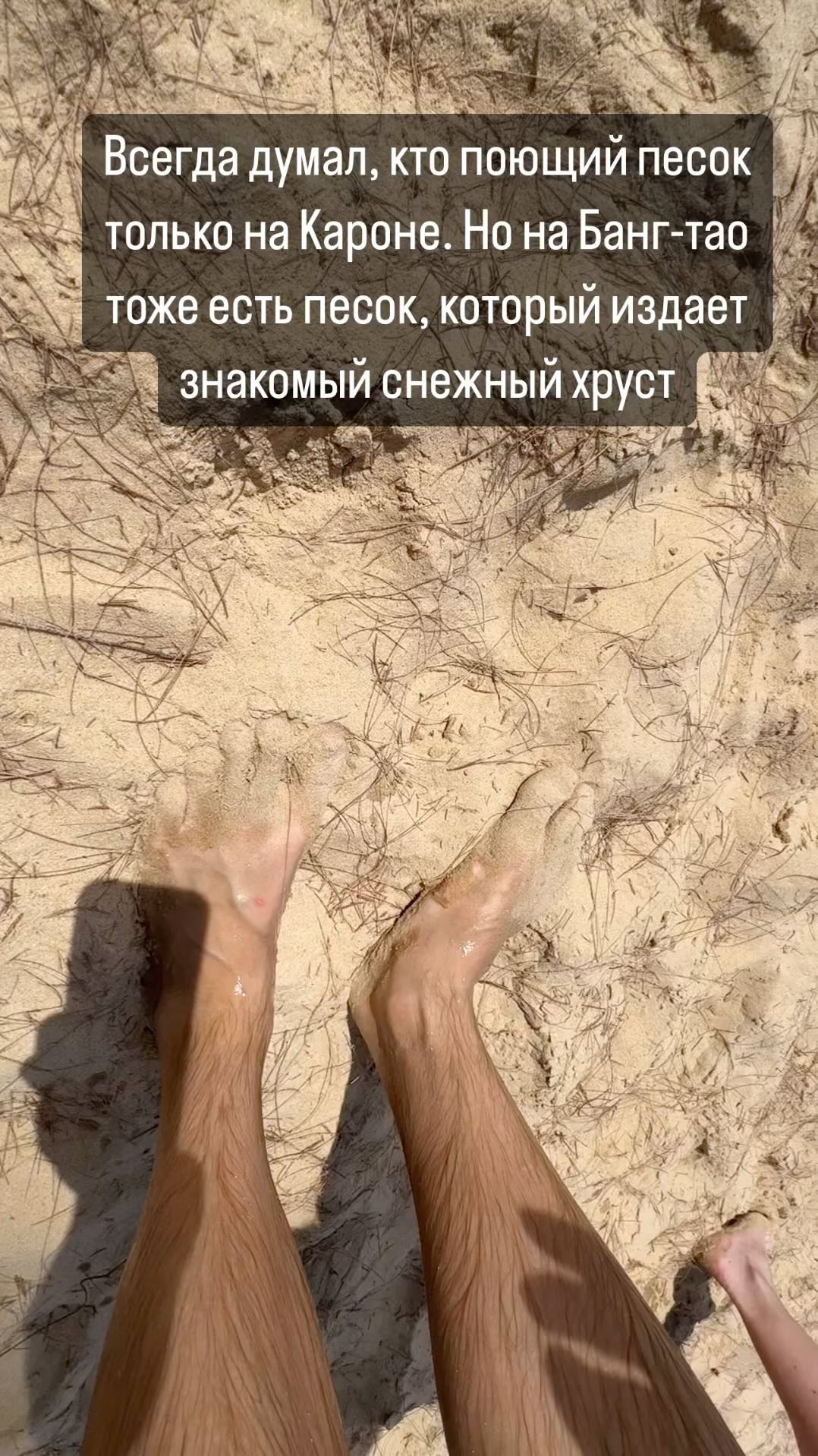 lexvas в LOOKY. . null