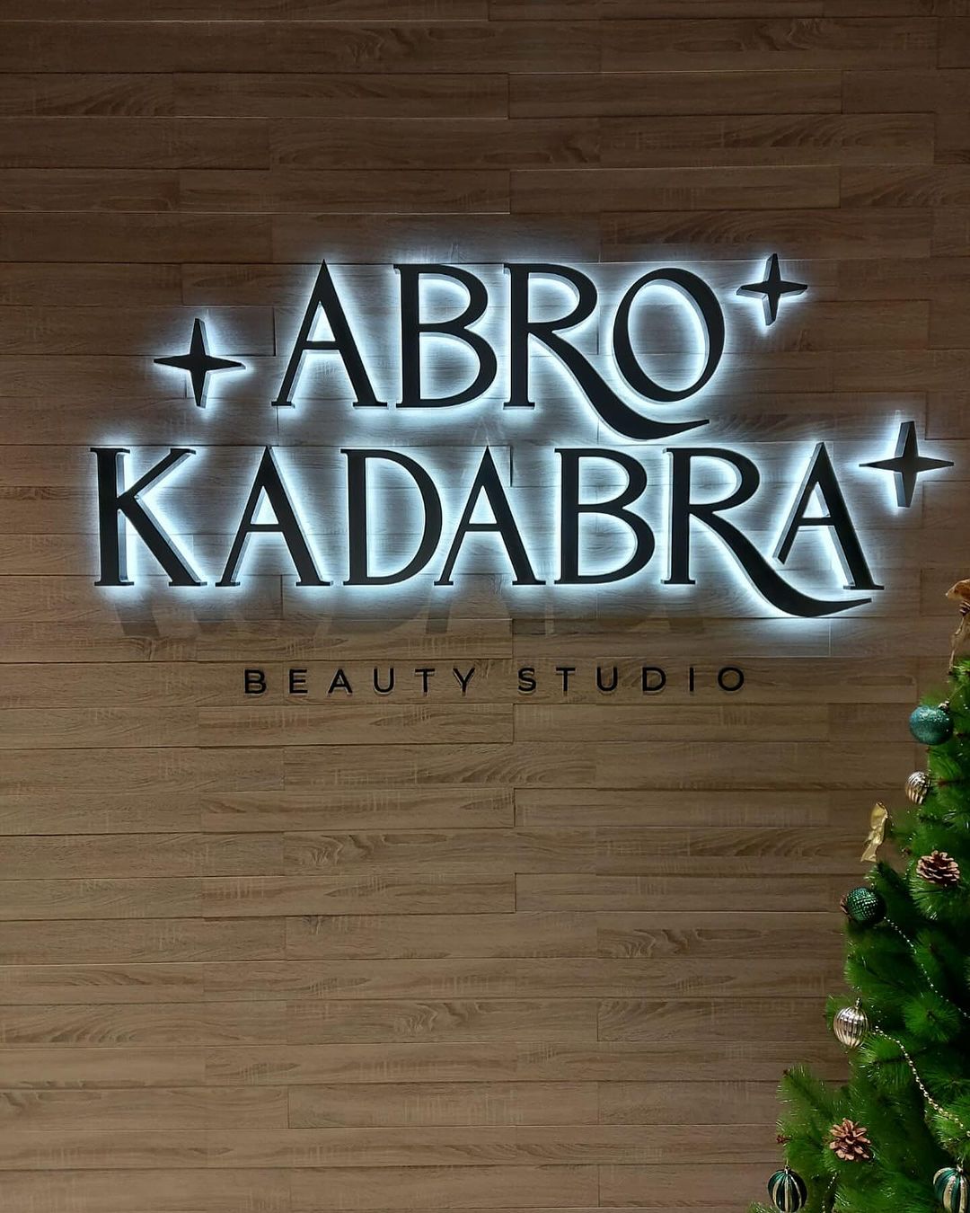 Объемные буквы с контр-ажурным свечением @abro_kadabra_ , выводы питающих проводов проложили под каждую букву ещё на стадии ремонта помещения #буквыЦГ
