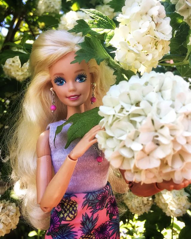 yanamarkovna01 в LOOKY. #barbie,#barbiedoll,#barbiefashionistas,#mattel,#matteldoll,#matteldolls,#fashiondoll,#fashiondolls,#yanamarkovna01,#барби,#куклы,#куклохобби,#puppen,#puppenhobby,#dollphotography,#dollphotos,#dollphoto,#plasticdoll,#dollcollection,#dollcollector,#dollcollectors,#dolls,#barbiesuperstar,#barbiespringblossom,#barbieworkingout,#barbie90s,#barbiecore,#barbiesecrethearts. Лаура. Barbie Secret...