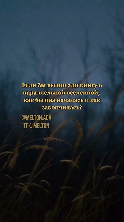 a.e.melton в LOOKY. #adamelton,#писательница,#писатель,#writing,#writer,#writertok,#букток. 🪻ТГ: melton 
#adame...