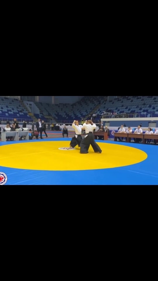 mo_sport_aikido в LOOKY. . Айкидо учит, как исп...