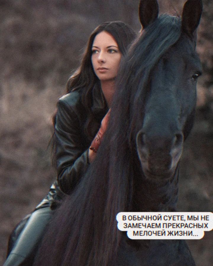 angel_of_love180 в LOOKY — Лошадь – это верный друг и компаньон на пути. Независимо от 