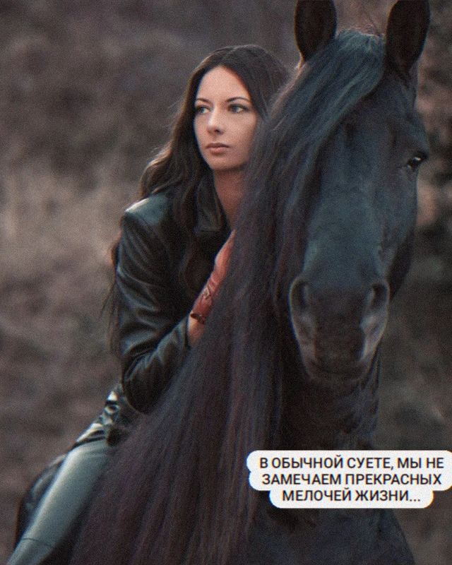 angel_of_love180 в LOOKY. #рекондации,#пост,#лошадь,#друг. Лошадь – это верный ...
