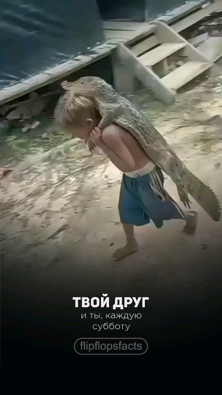 flipflopsfacts в LOOKY. #интересныефакты,#фактысовсегомира,#познавательно,#познавательное,#интересное,#познавательныефакты,#удивительныефакты,#удивительное,#удивительноерядом,#фактыосебе,#интересно,#фактывфото,#факты,#топовыефакты,#фактыистории,#полезныефакты,#полезное,#удивительныефакты,#удивительное,#фактыфото,#фактывфото,#интересныефакты,#интересное,#топ,#рек,#рекомендации. Подписывайся!
👉👉👉...