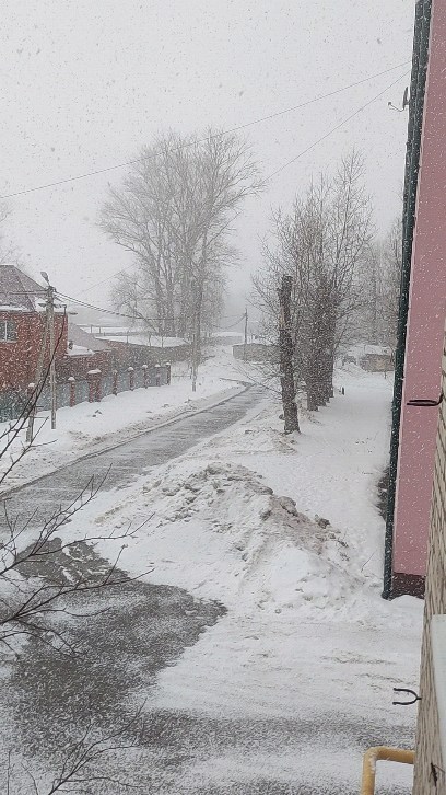 flostond в LOOKY. . null