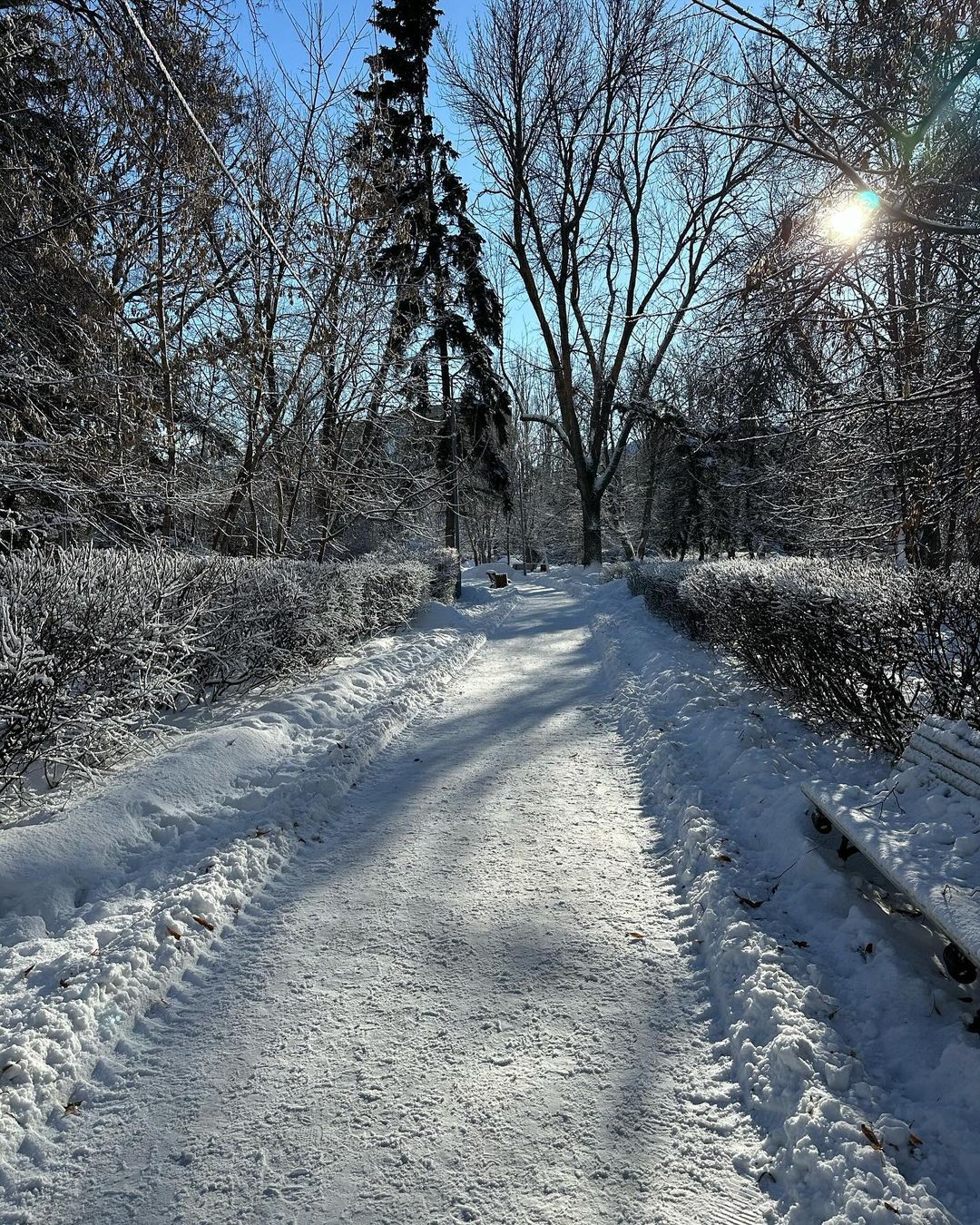 start.411 в LOOKY — фото 2