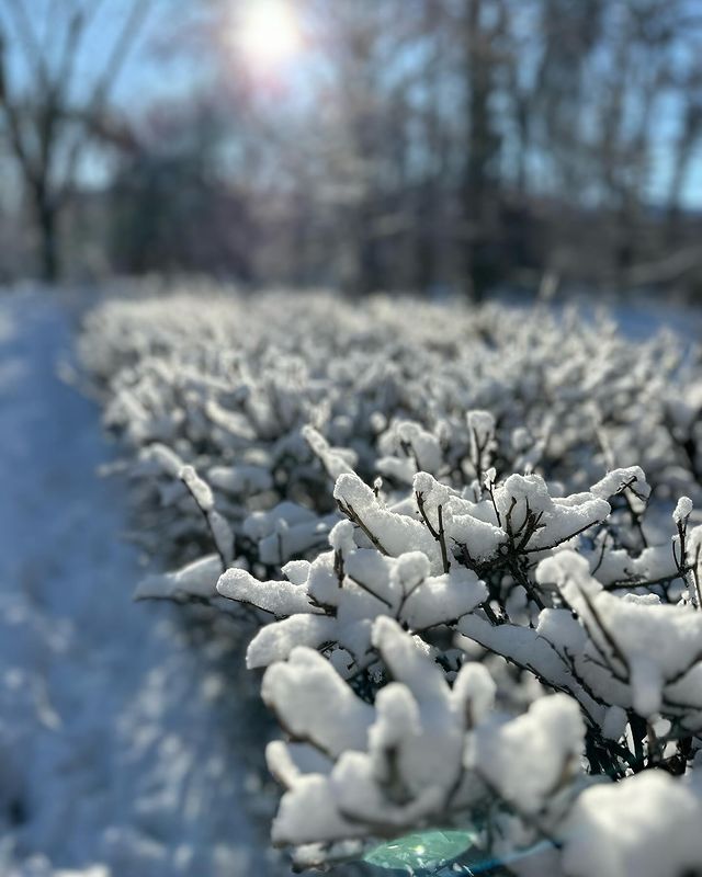 start.411 в LOOKY. . Моя зима❄️