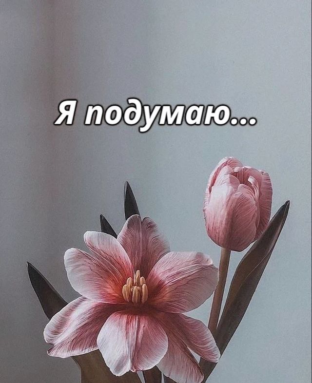 viktoryia.kushnerova в LOOKY. . Как же часто я слышу...