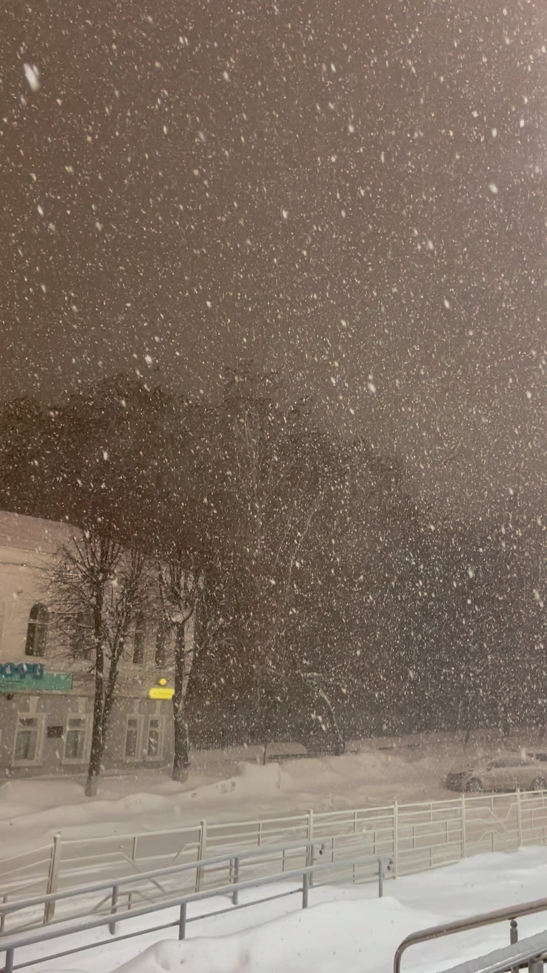 timas в LOOKY. #ulsk. А воронам пофиг! Уль...