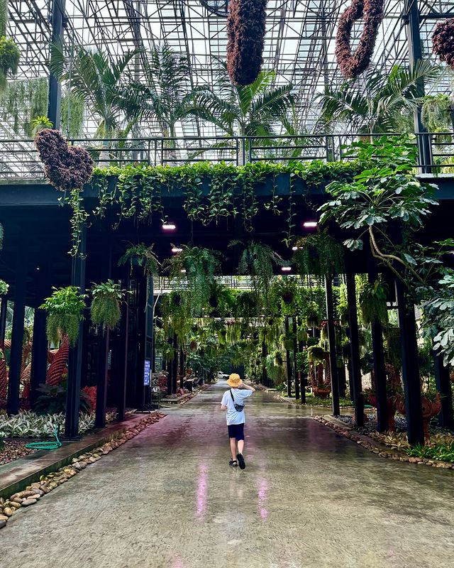 mrs_tiiii в LOOKY. #Thailand🇹🇭,#MrT😎,#love_u_to_the_moon_and_back💞,#важнейшаячастьмоейжизни⚡️,#bestofthebestofthebest👋🏻,#люблюнемогу,#любовная_любовь💕,#little_man😎,#my❤️,#my_universe😻😻😻,#my_son_is_my_sun☀️,#время_остановись⌛✋🏼. Nong Nooch. Day9
Bea...