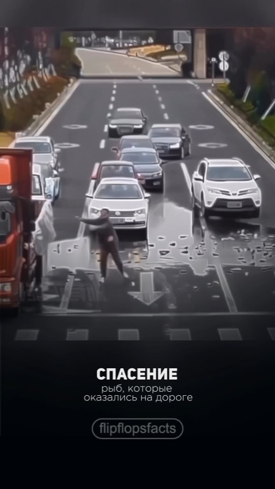 flipflopsfacts в LOOKY. #интересныефакты,#фактысовсегомира,#познавательно,#познавательное,#интересное,#познавательныефакты,#удивительныефакты,#удивительное,#удивительноерядом,#фактыосебе,#интересно,#фактывфото,#факты,#топовыефакты,#фактыистории,#полезныефакты,#полезное,#удивительныефакты,#удивительное,#фактыфото,#фактывфото,#интересныефакты,#интересное,#топ,#рек,#рекомендации. Подписывайся!
👉👉👉...