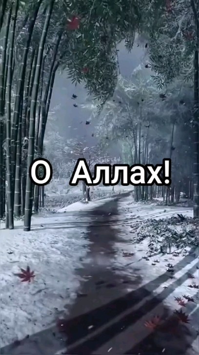 icleaning.tjk в LOOKY. . null