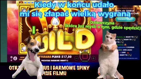 pkazinoo в LOOKY. #rek,#casino,#gambling,#onlinecasino,#slotmachine,#casinoreview,#casinogames,#freespins,#casinobonus,#betting,#sportsbetting. https://t.me/AmunRaP...