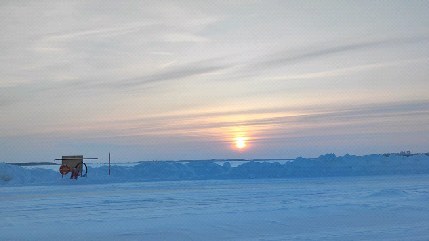 chaser_leopold в LOOKY. . null