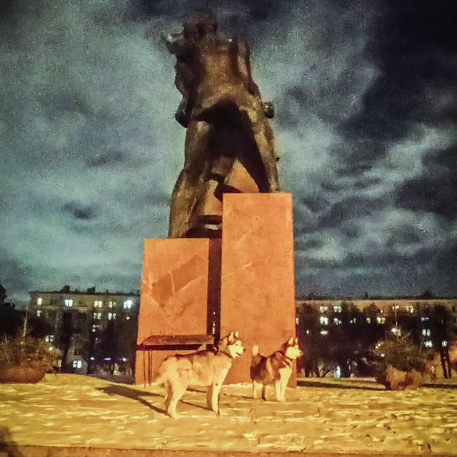 alx_nvsk в LOOKY. #avtovo,#winter,#nidght,#huskies,#husky,#huskiesofinstagram,#siberian,#ersathemetalhusky,#thehuskylove_feature,#huskigram_,#huskiesofig,#my_husky,#siberianhuskies,#justhuskies,#husky,#siberianhusky,#huskylove,#huskygram,#huskylife,#huskyphotography,#allthingshusky,#huskyofinstagram,#huskyworld,#huskydog,#huskyoftheday,#lovehusky2024,#ericthemetalhusky,#югозапад,#автово,#комсомолка,#автовскиеволки. Освоение старых-новы...