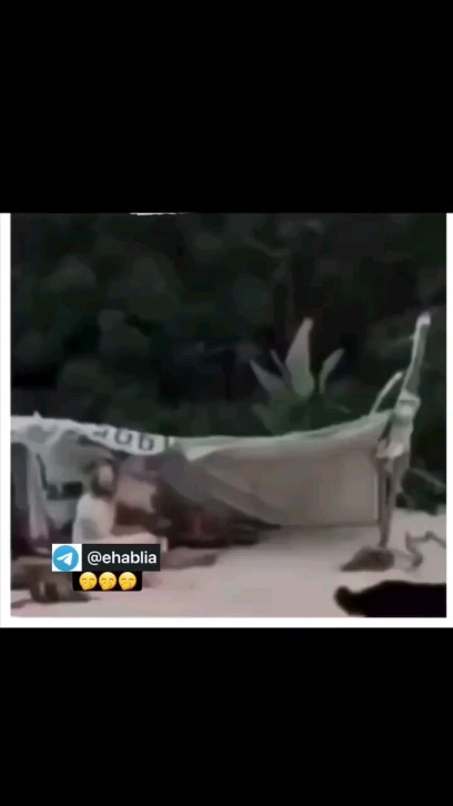 ehablia7 в LOOKY. . null