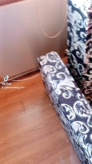 diamonddog_klin в LOOKY. #собаки,#бордерколли#Funnypets. #собаки #бордерколли...
