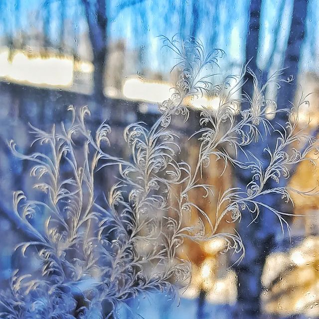 steponyx в LOOKY. #морозвроссии,#инстаграм,#nature,#winter. Мороз рисует завитуш...