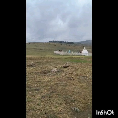 oksana_bykova_t в LOOKY. . Моя Тоонто. Моя роди...