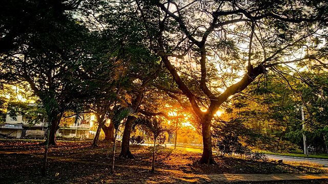reydleyph в LOOKY. . 🌇