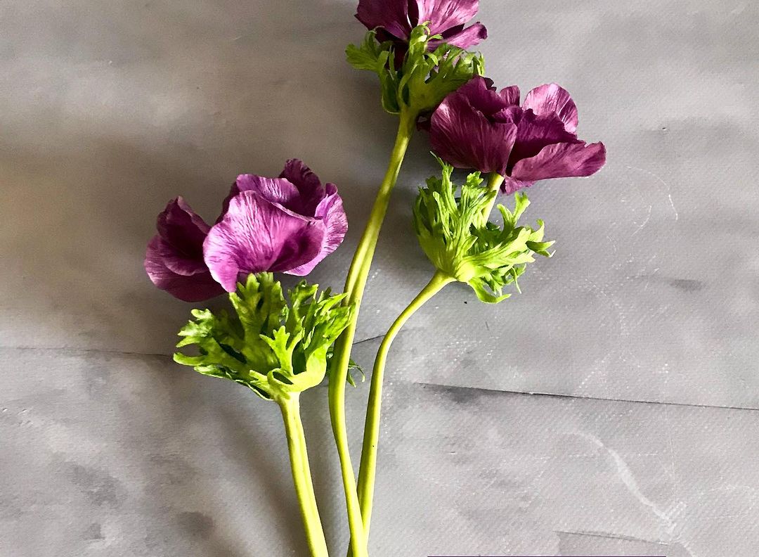 handmadeflowers_shop в LOOKY — фото 8