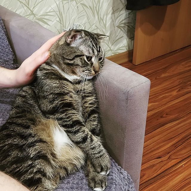 zyzyl_3 в LOOKY. . Мартини  печален, ма...