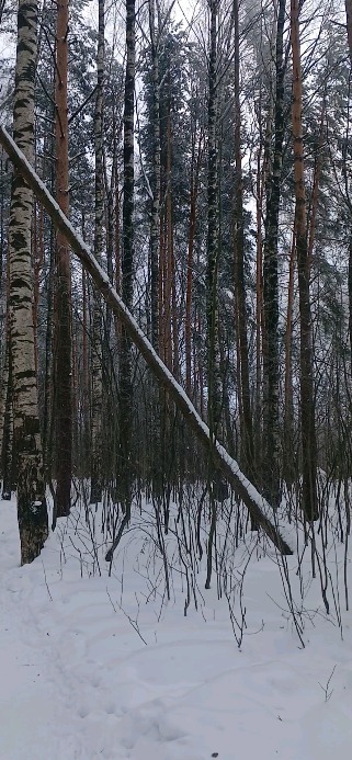 tkh_vvva в LOOKY. . null