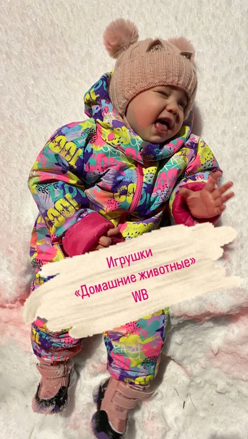 miss.katrin.90 в LOOKY. . Набор домашних живот...