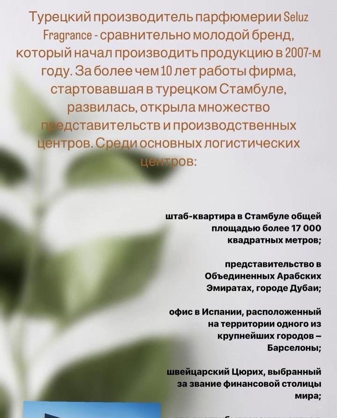 Виктория Кремнева в LOOKY — фото 4