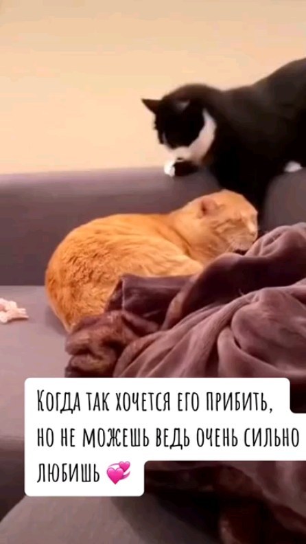 007kaktus в LOOKY. #Любовь. #Любовь