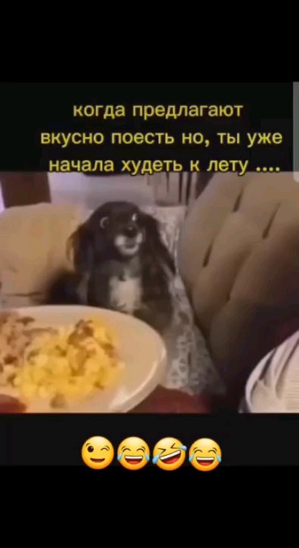 007kaktus в LOOKY. #худеемвместе. #худеемвместе
