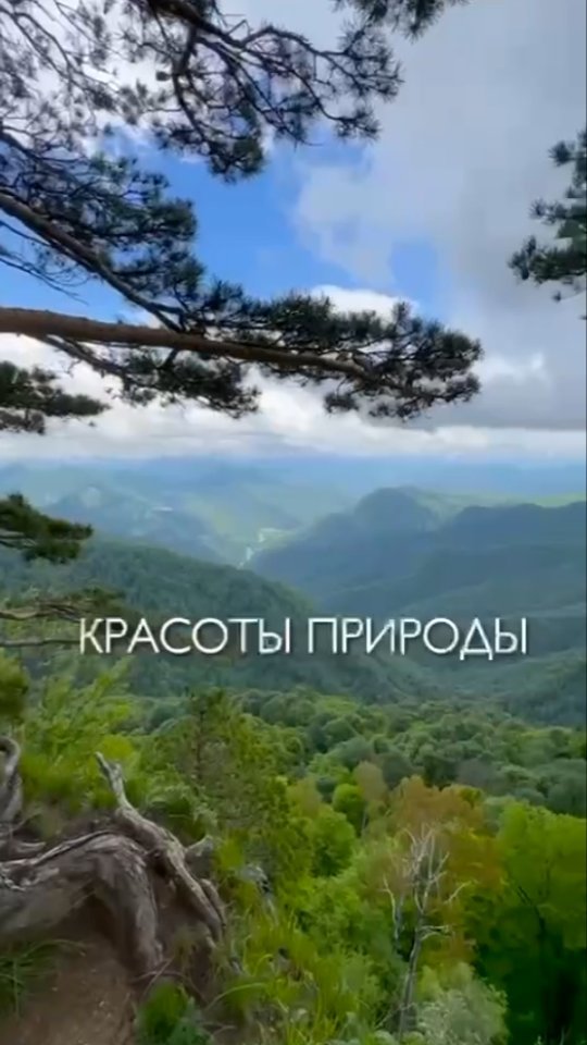 nedmall_estate в LOOKY. . В республике Адыгея ...