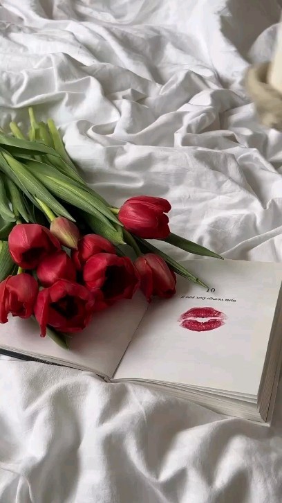 diary_mood___ in LOOKY. . ❤️