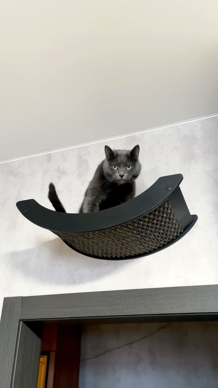 migal.aa в LOOKY. . Серьезный парень 😼