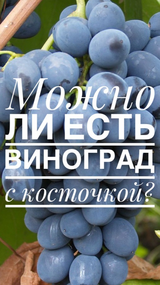 marinasw_rnd в LOOKY. . Состав виноградных к...