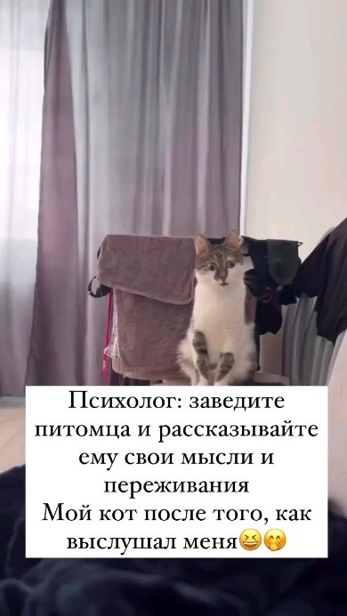 m_cosmetolog.vlg в LOOKY. . null