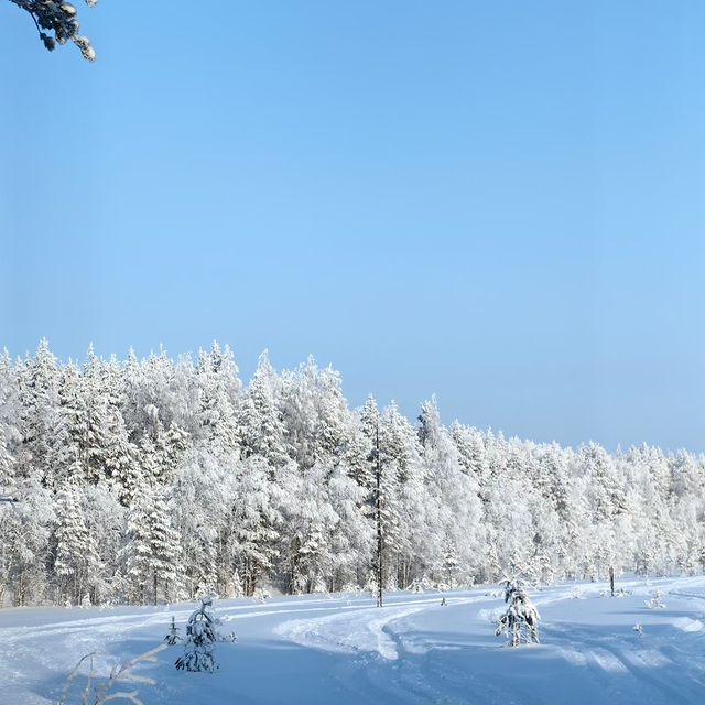 bulanov.dmitry в LOOKY. . null