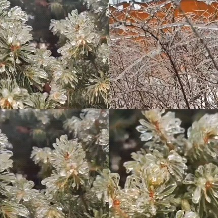  в LOOKY — Когда, вдруг, попала в гости к самой Снежной королеве ❄👑