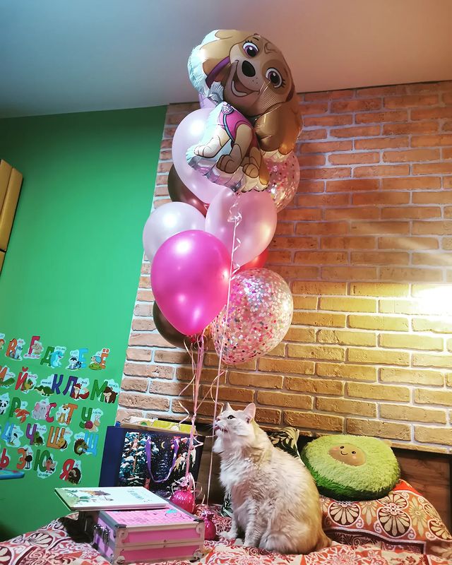 helga537 в LOOKY. . Happy birthday my li...