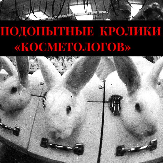 milavetrova_flax в LOOKY. . ПОДОПЫТНЫЕ КРОЛИКИ…
...