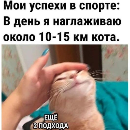 happypetsallworld в LOOKY. . null