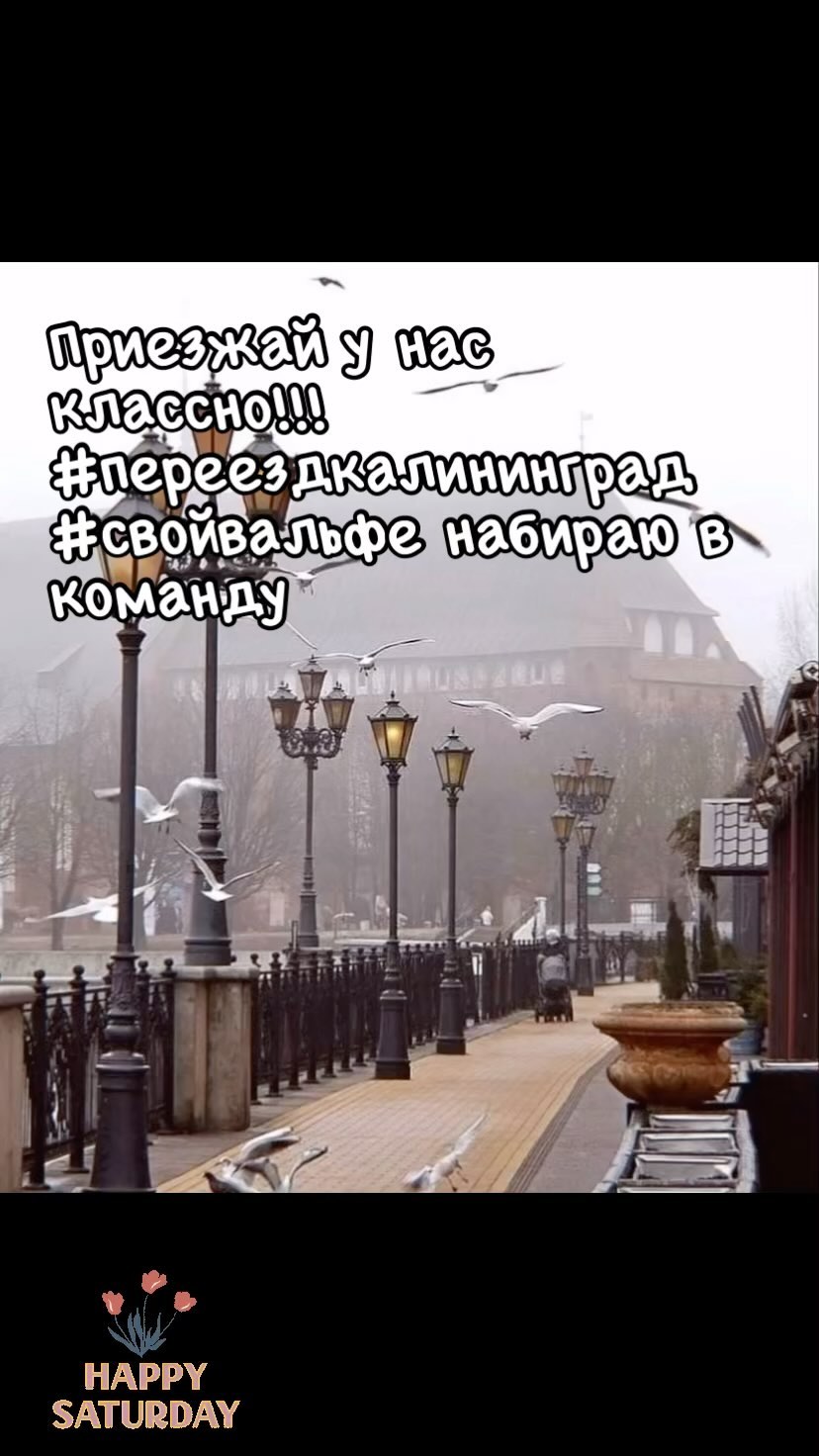 pereezdvkaliningrad716 в LOOKY. . Набираю в команду ал...
