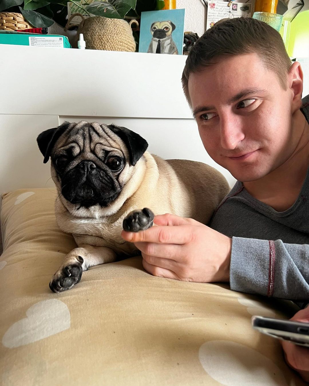 alethepug