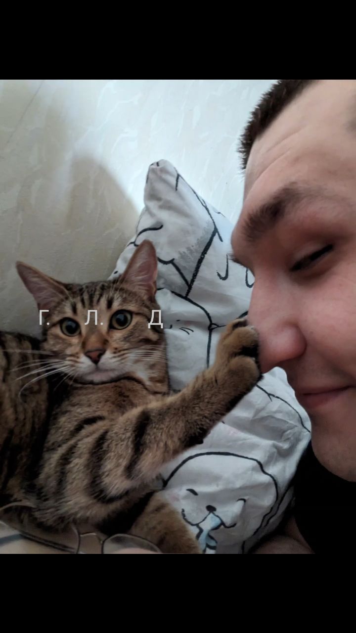 ridik21 в LOOKY. #кошкамоя. Глаза чико #кошкамоя