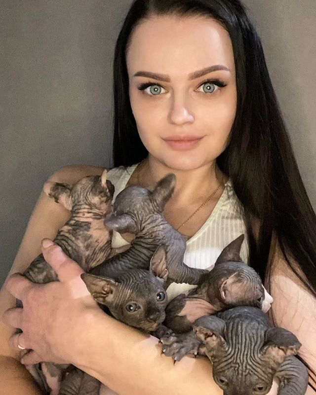 i_anatolevna_ в LOOKY. #канадскийсфинкс#Беларусь#sphynxcat#canadiansphinx#голыекоты#. 😻

#канадскийсфинкс...