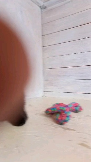 diamonddog_klin в LOOKY. . Чёрный бриллиант сво...