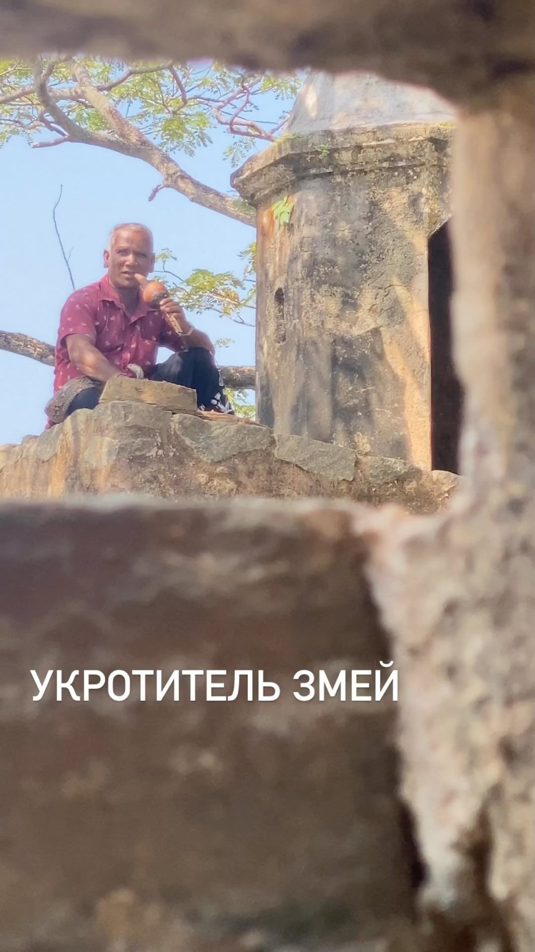 svetlana_devina в LOOKY. . Подсмотрено в районе...