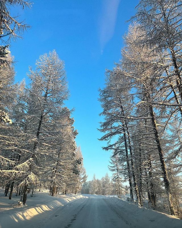 juliya__boyarskaya888 в LOOKY. . null