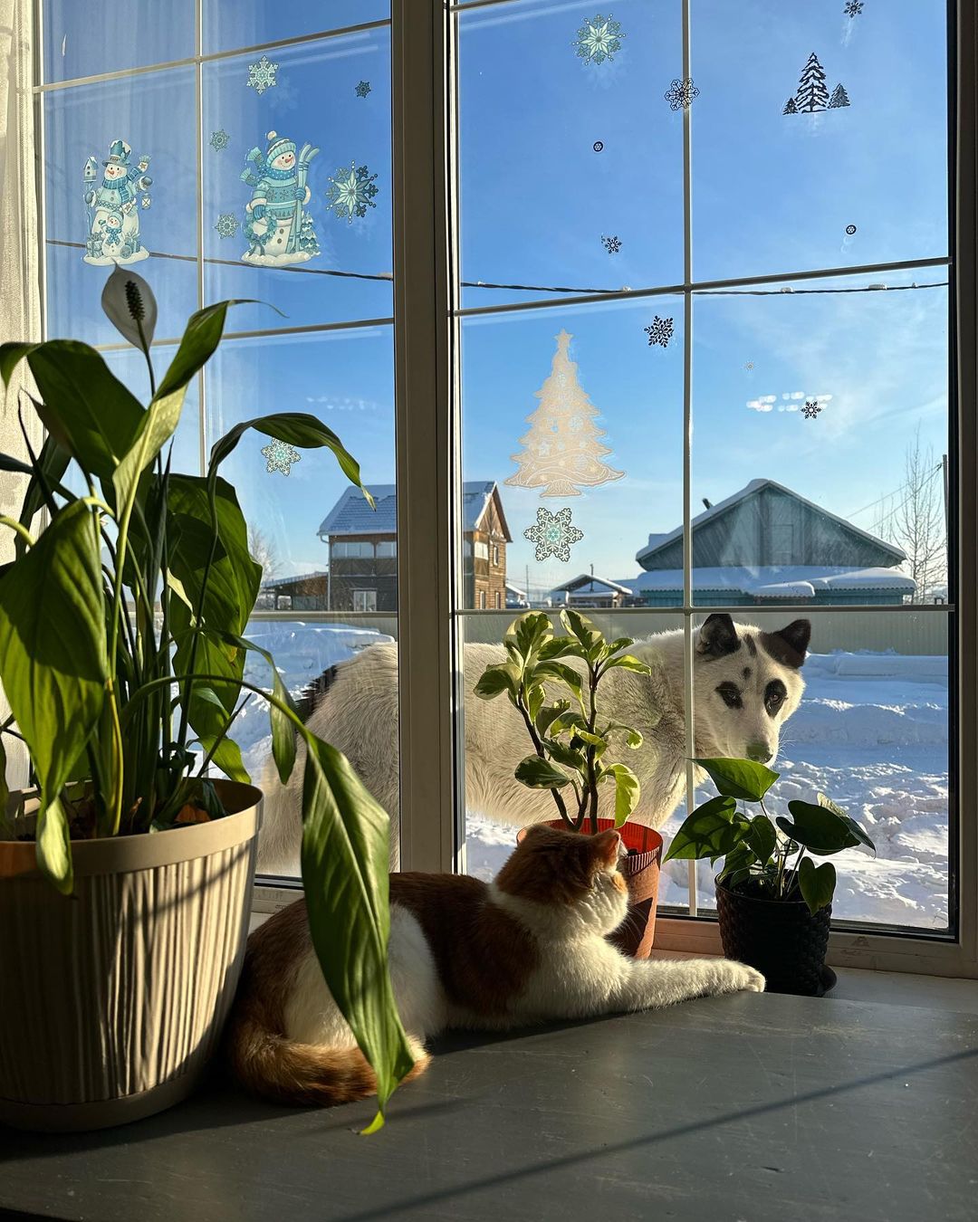 🥰