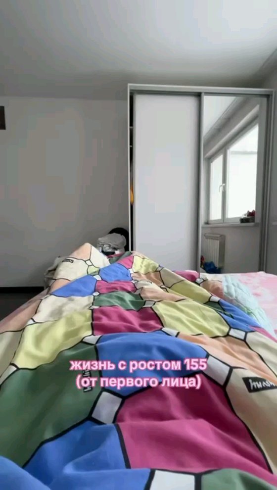 blackshiba.megumi в LOOKY. #сибаину,#сиба,#рост,#тренд,#shibainu,#shibadog. #сибаину #сиба #рост...